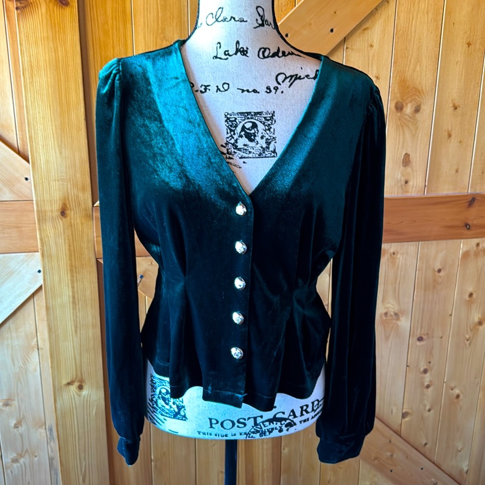 NOT FOR SALE

Velvet cropped, V-neck fitted waist blouse